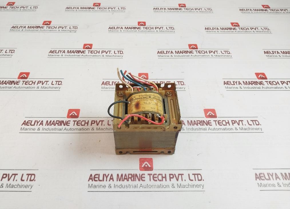 Dls 200W Transformer 100v