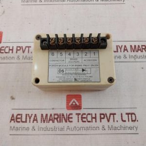 Ds-Electro Engineering Pm-01 Power Module 220v