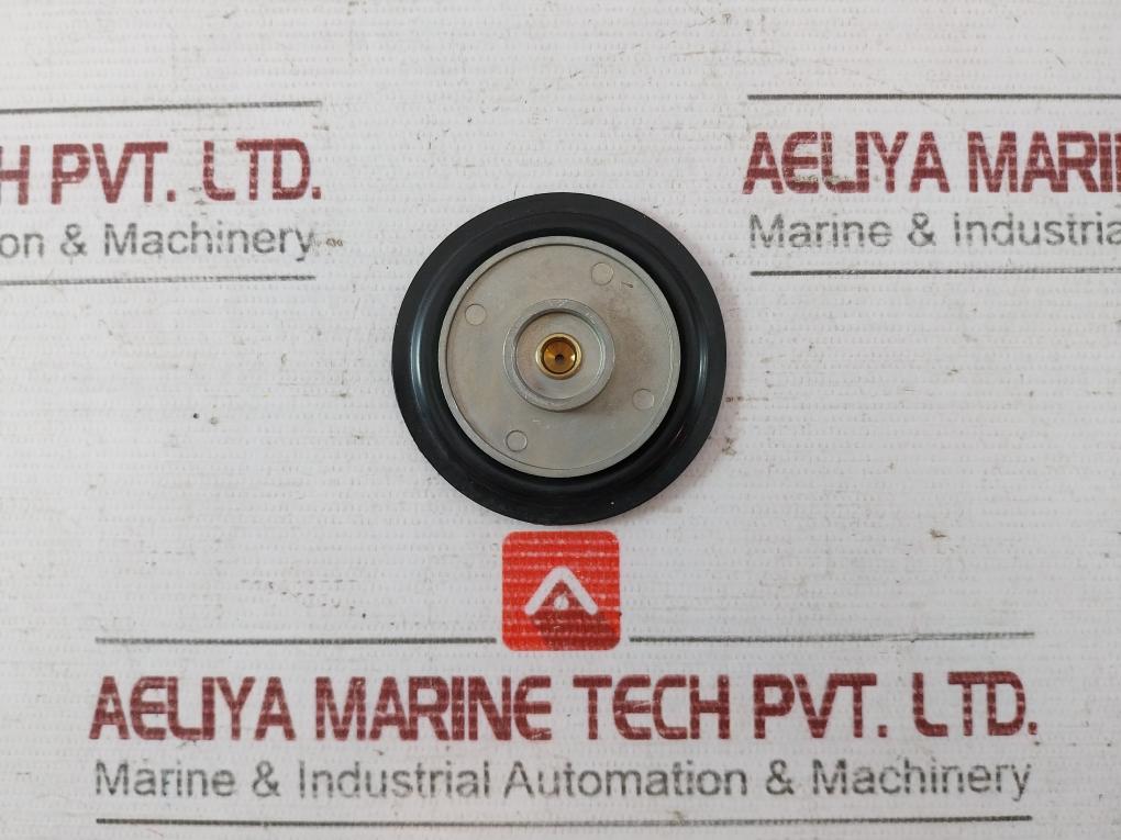 Ds062f Diaphragm Assembly - Image 4