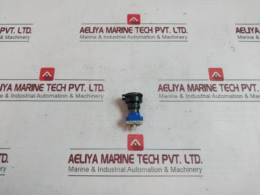 Eao 61-1100.0 Illuminated Control Button 300v