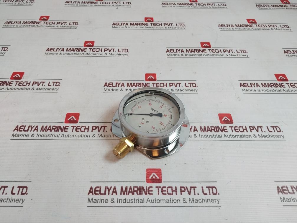 En 837-1 Pressure Gauge - Image 3