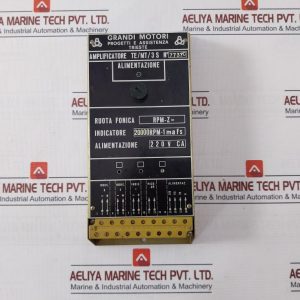 Grandi Motori TeMt3 S Amplifier