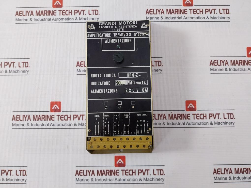Grandi Motori TeMt3 S Amplifier