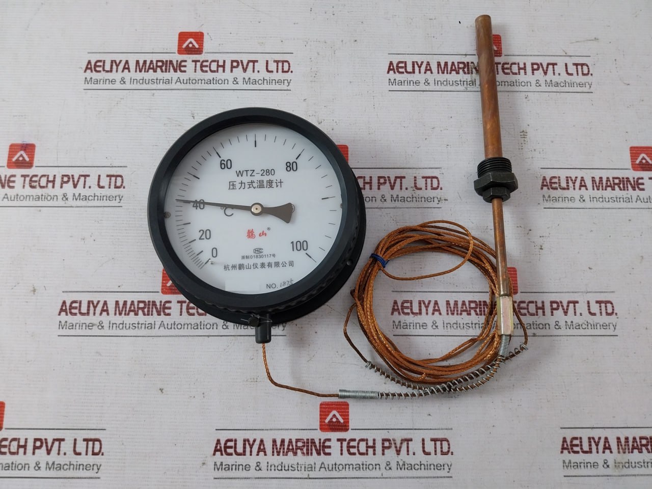 Hangzhou Guanshan Wtz-280 Pressure Thermometer 100°C - Image 5
