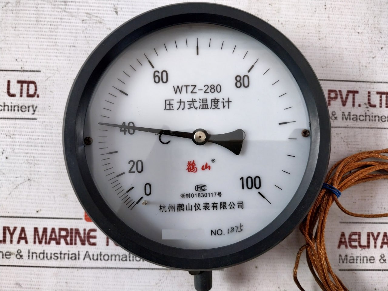 Hangzhou Guanshan Wtz-280 Pressure Thermometer 100°C - Image 7