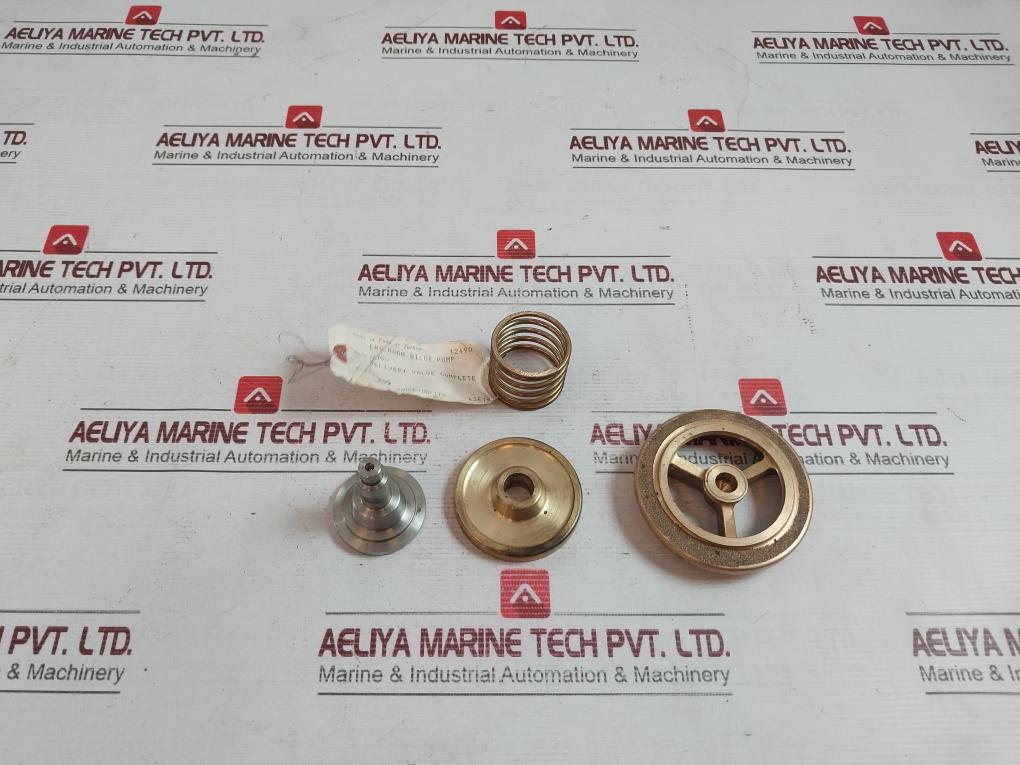 Shinko 202 Delivery Valve Complete Set