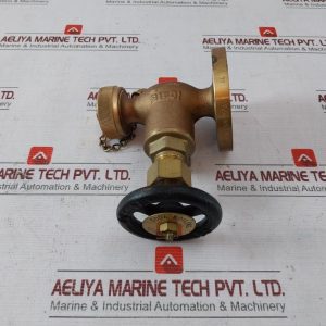 Wtp 2.06 Mpa Bronze Globe Valve 2.06mpa