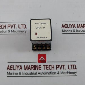 Salzer Mkg 2p 24 Relay 24v
