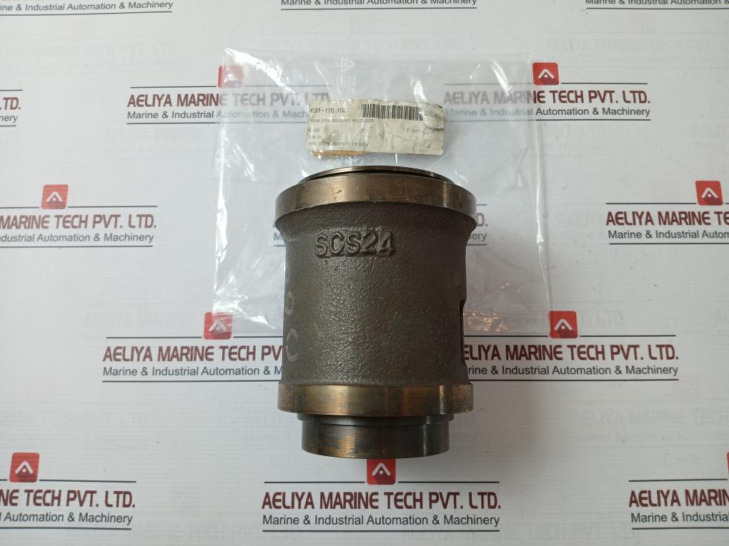 Scs24 Cage Deaerator Level Control