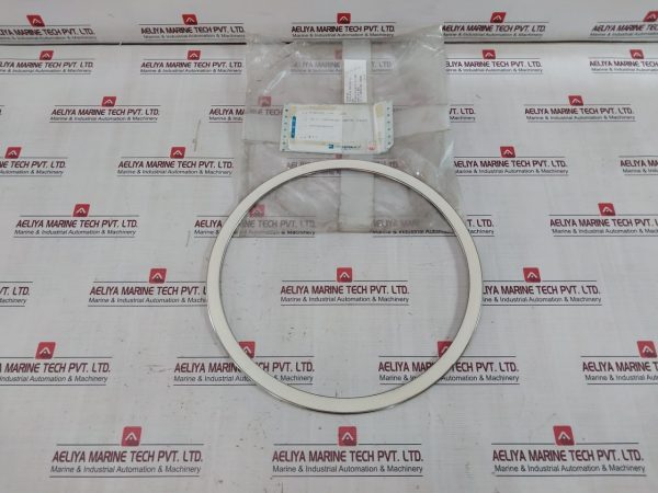 Mitsumoto Swing Check Valve Gasket