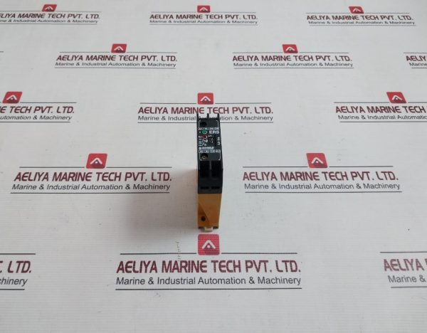 Schiele Ers Time Delay Relay 250v