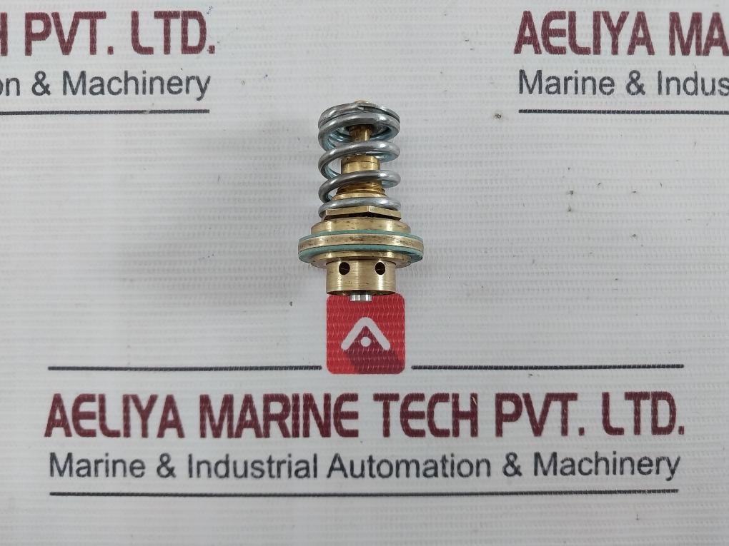 X-22517 B4b Regulator Cage Valve