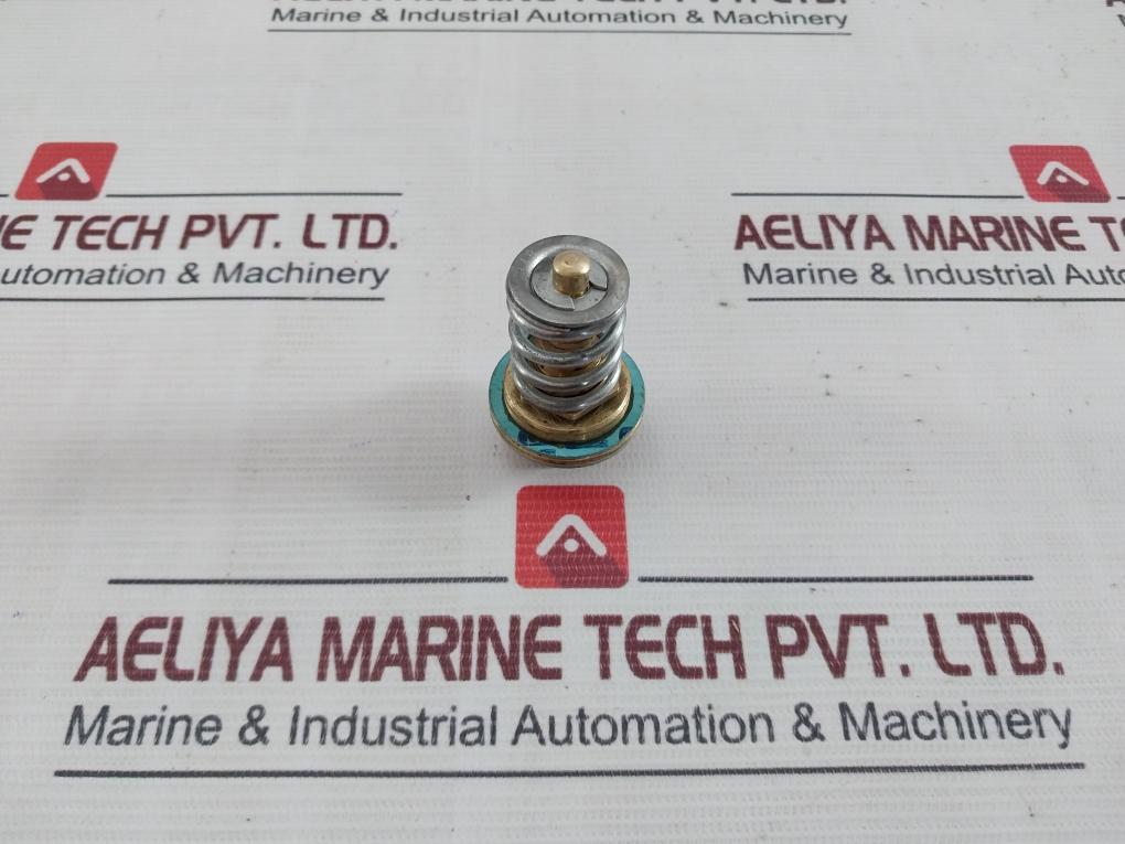 X-22517 B4b Regulator Cage Valve - Image 4