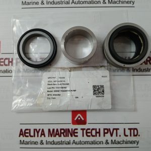 Eagleburgmann E Mg140 Mechanical Seal Brine Transfer Pump Set