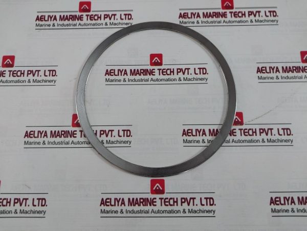 Mitsumoto Ftc-D7439847-01-M473 Gasket For Gate Valve