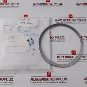 Mitsumoto Valve 900lb-5 Gasket