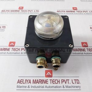 Rose 21 121209 Ex Enclosure