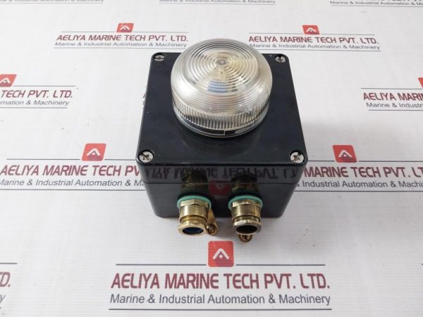 Rose 21 121209 Ex Enclosure