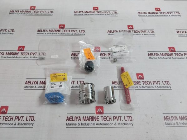 Wsi 100873 Spm Nut Piston Stem Valve Kit