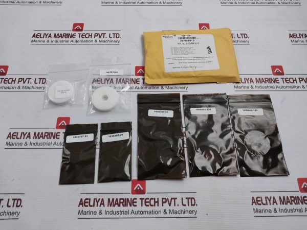 Baker Hughes 20-507013 Seal Kit Sl 12 Spm Valve
