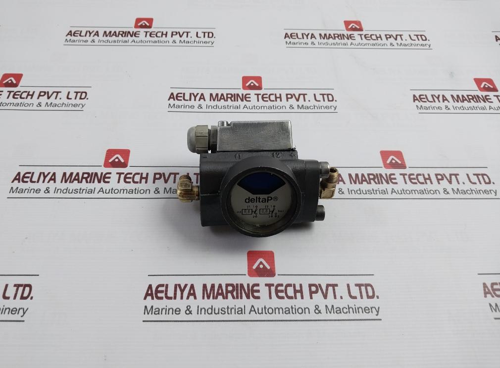 Deltap 0,6-0,8 Bar Pressure Indicator