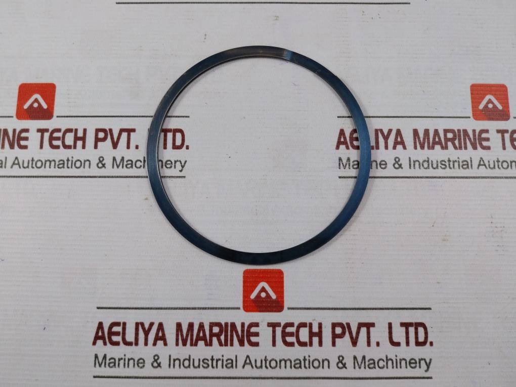 Control Flow 966208 Oil Seal Ring - Image 4