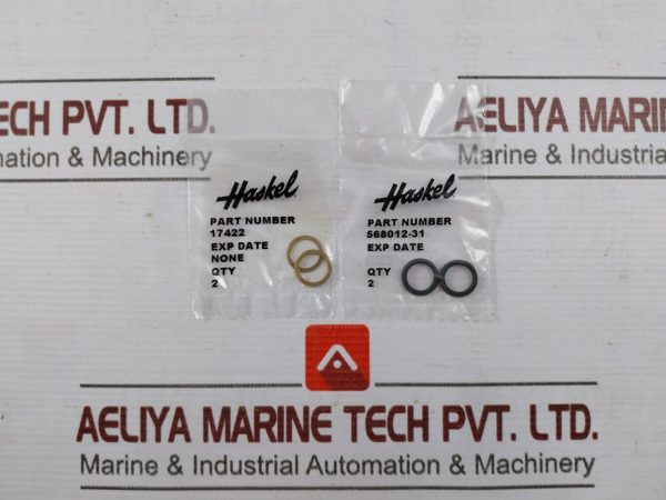 Haskel 17325 Check Valve Seal Kit