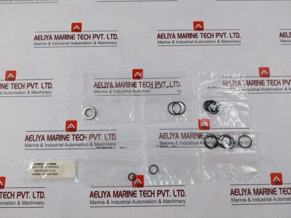 Haskel 17329 Air Cycling Seal Kit - Image 6