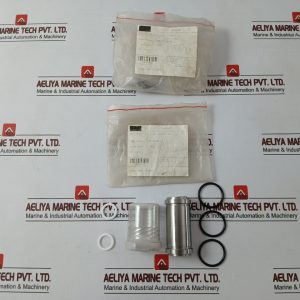 Sae 1931386-02-Rk Valve Repair Kit