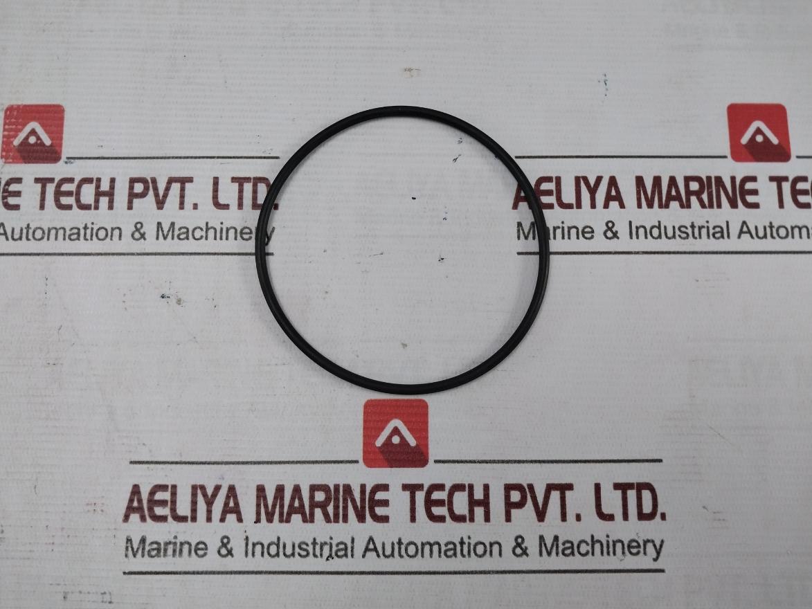 Halliburton 100000968 O-Ring - Image 3