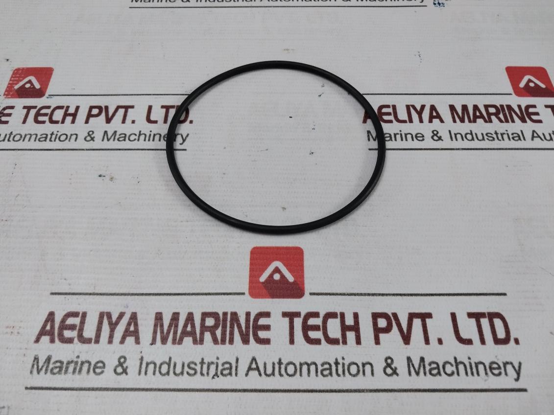 Halliburton 100000968 O-Ring - Image 4