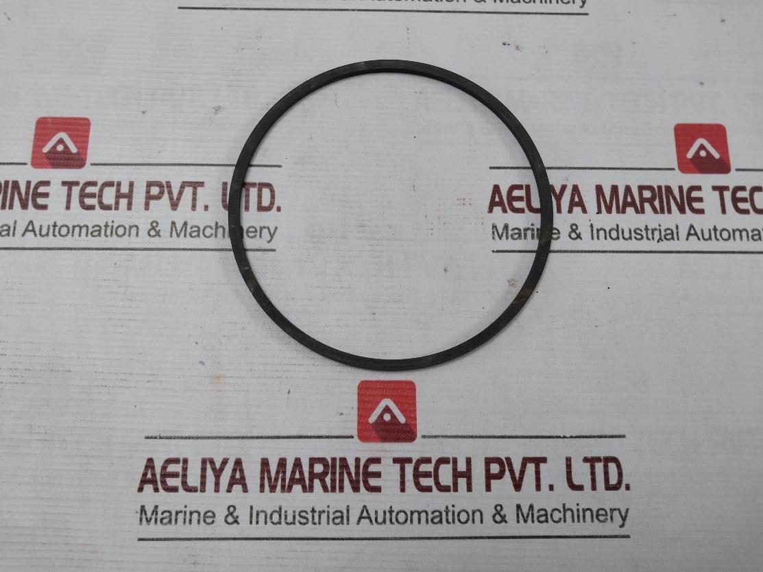 Halliburton 100002829 Anel Bomba Pump Ring - Image 4