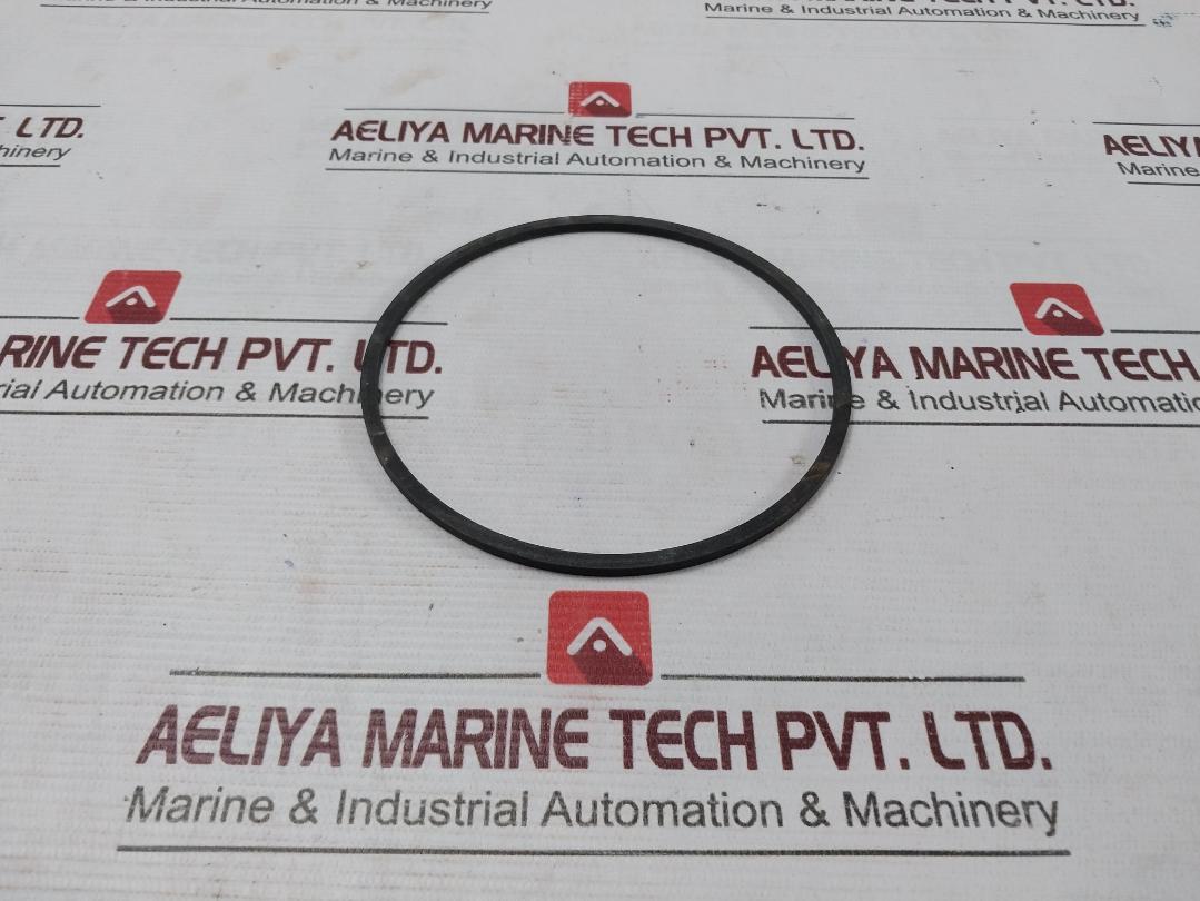 Halliburton 100002829 Anel Bomba Pump Ring - Image 3