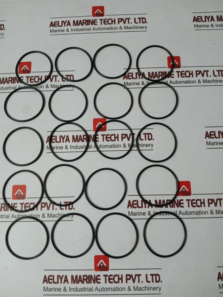 Macgregor 1074706.001 O-Ring Bushing Check Valve Studs Screws Washer Set - Image 3