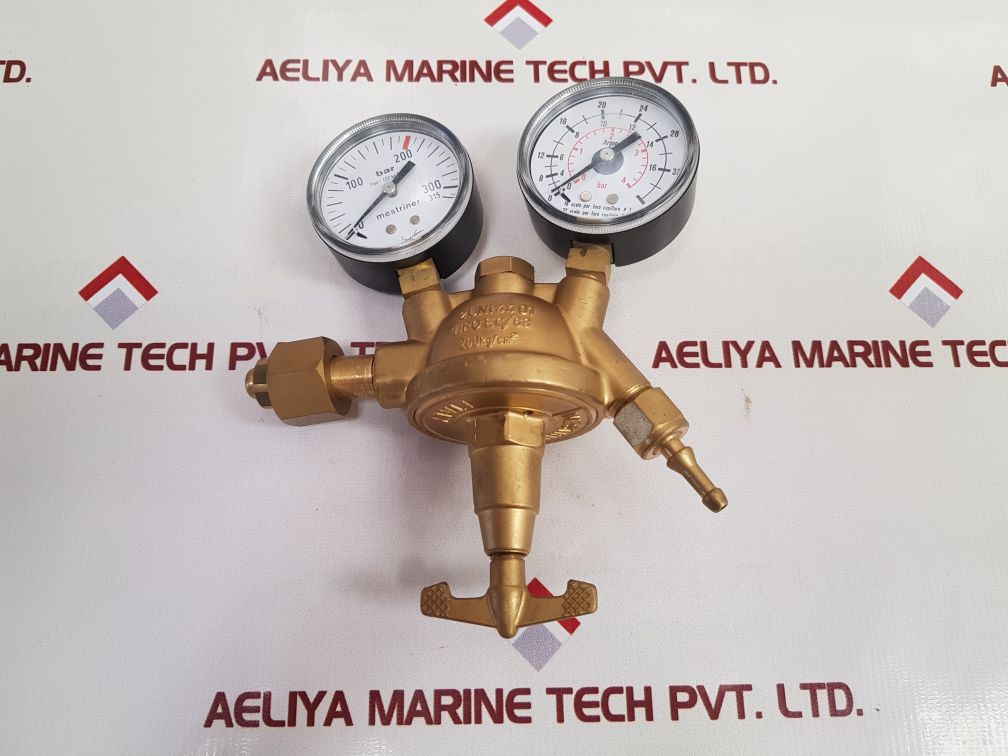 Mestriner EC/68 2Uni4401 twin gauge pressure regulator - Image 2