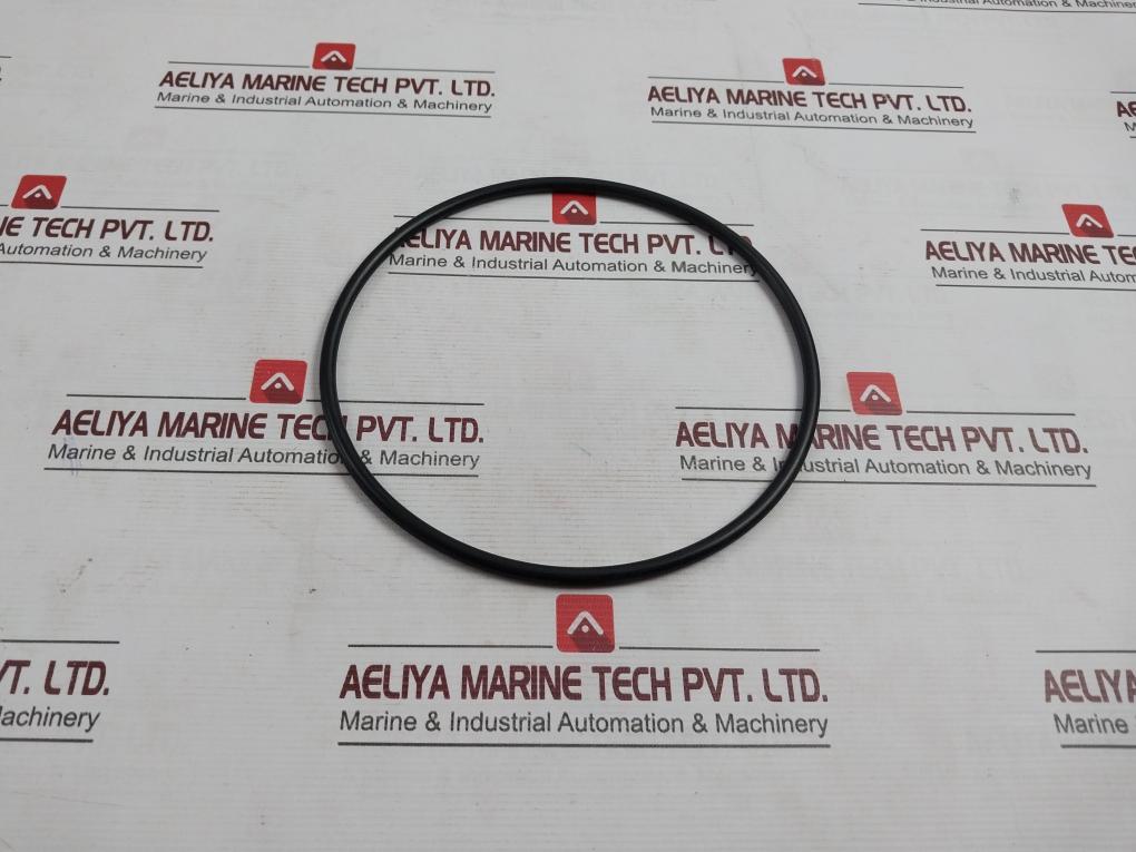 Nov 20368322 O-Ring T3df Gate Valve - Image 2