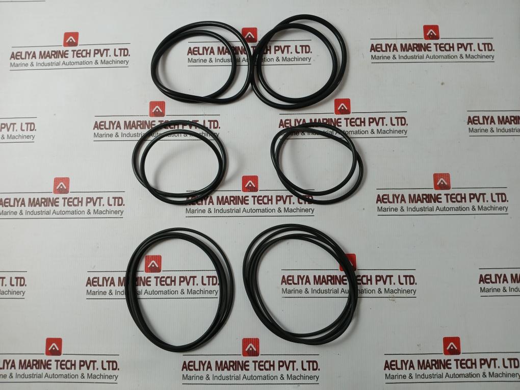 Rolls-Royce M6300 Shaft Seal O-Ring Kit For Hydraulic Motor - Image 3