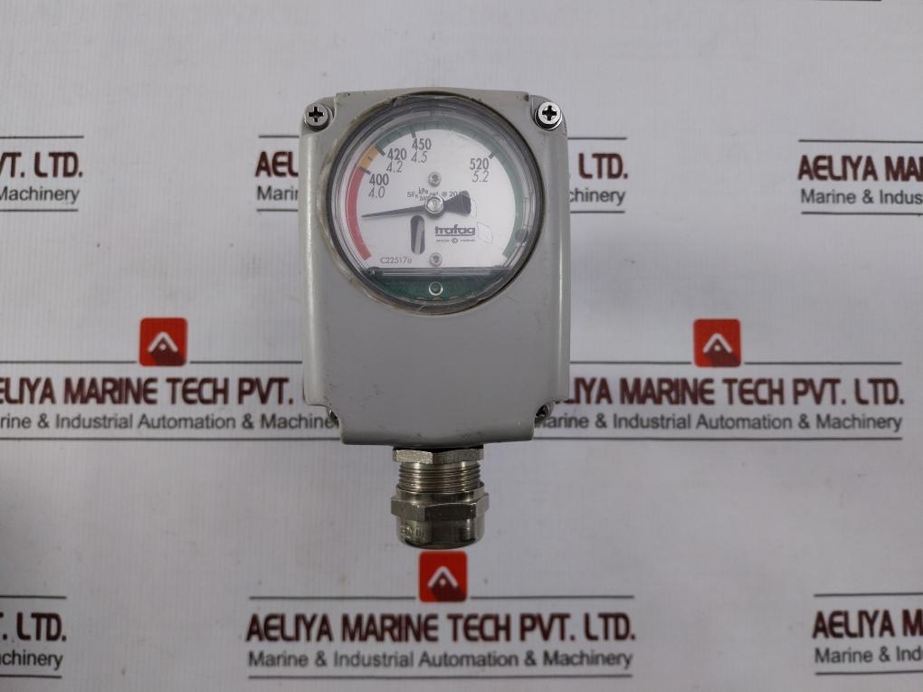 Trafag 8736.20.2200.J6 Density Monitor