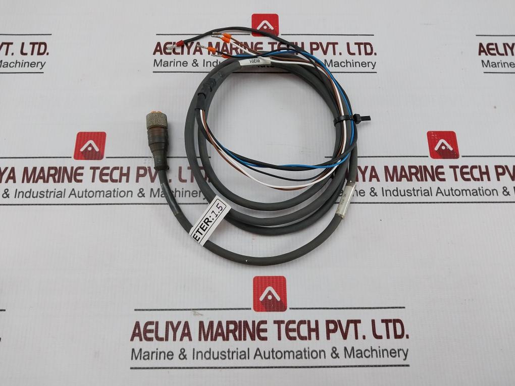 Belden Rkt 4-2884 P1 Standard SensorActuator Single-Ended Cordset Meter