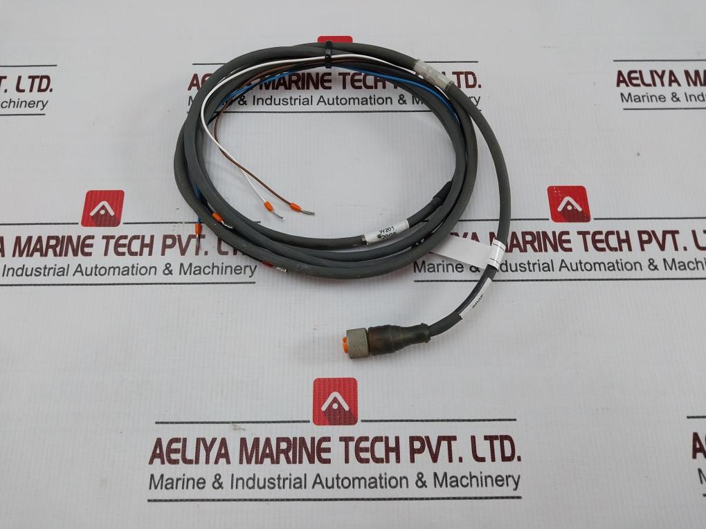 Belden Rkt 4-2884 P1 Standard SensorActuator Single-Ended Cordset Meter