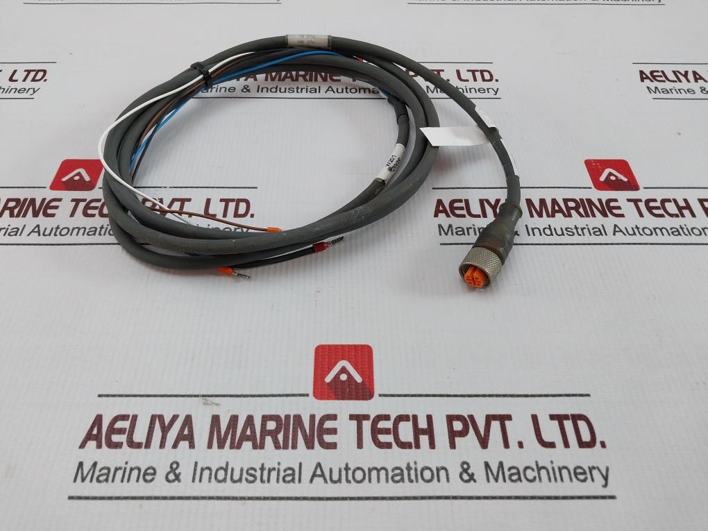 Belden Rkt 4-288/4 P1 Standard Sensor/Actuator Single-Ended Cordset Meter - Image 3