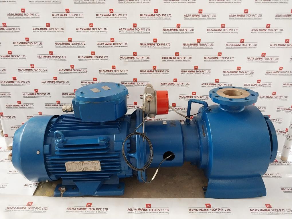 Desmi S100-80-175n/D11-02-90-130 Ex Motor Pump Assembly 690v - Image 4