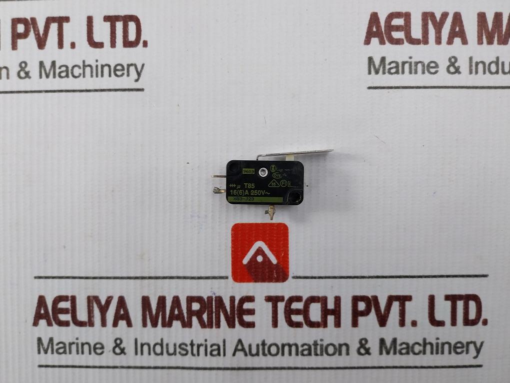 Saia Xg3-J23 Micro Switch 250v