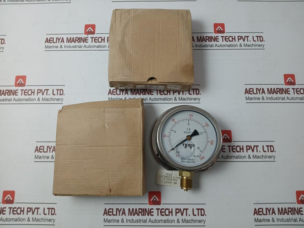 Tess En 837.1 Pressure Gauge