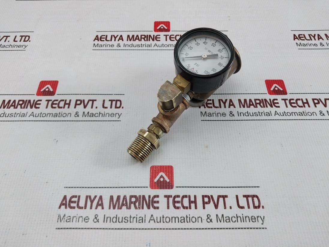 Accutek Pg-100 Sd 2 Auto-Vent Gauge And Air Eliminator Assembly - Image 3