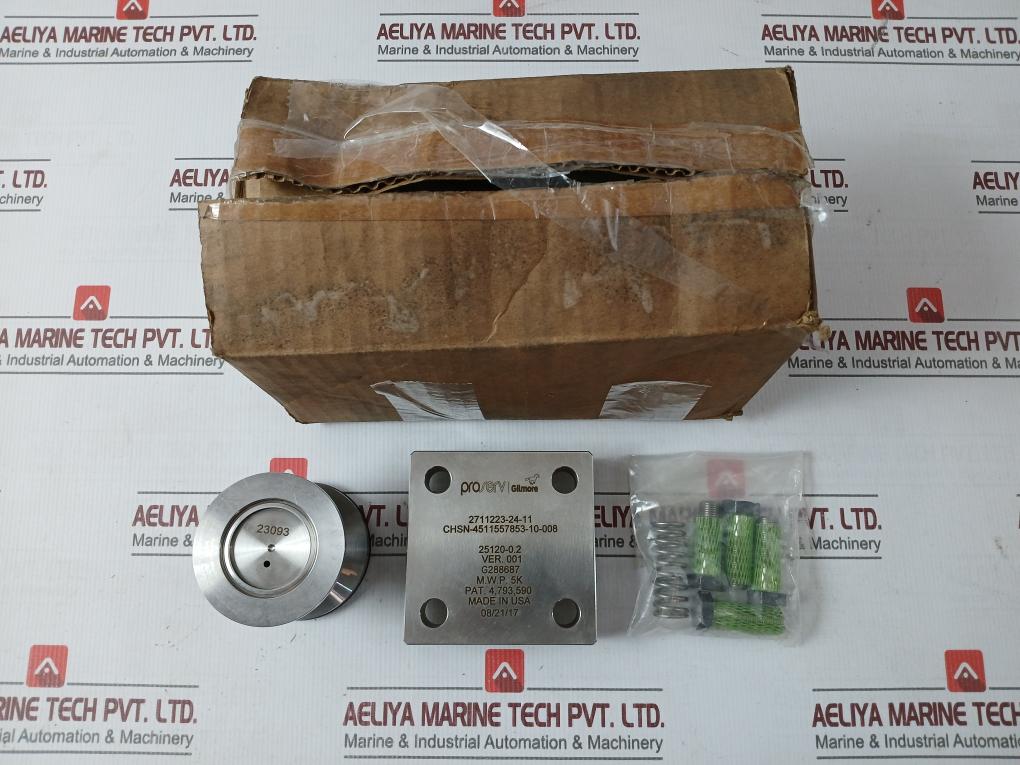 Gilmore 25120-0.2 Cartridge Check Valve Set