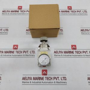 Smc I-ir2010-f02Bg1 Precision Regulator