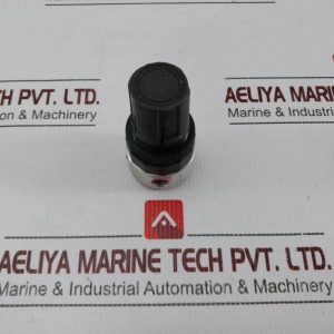 Watts Fluidair R374-01cp Miniature Air Pressure Regulator