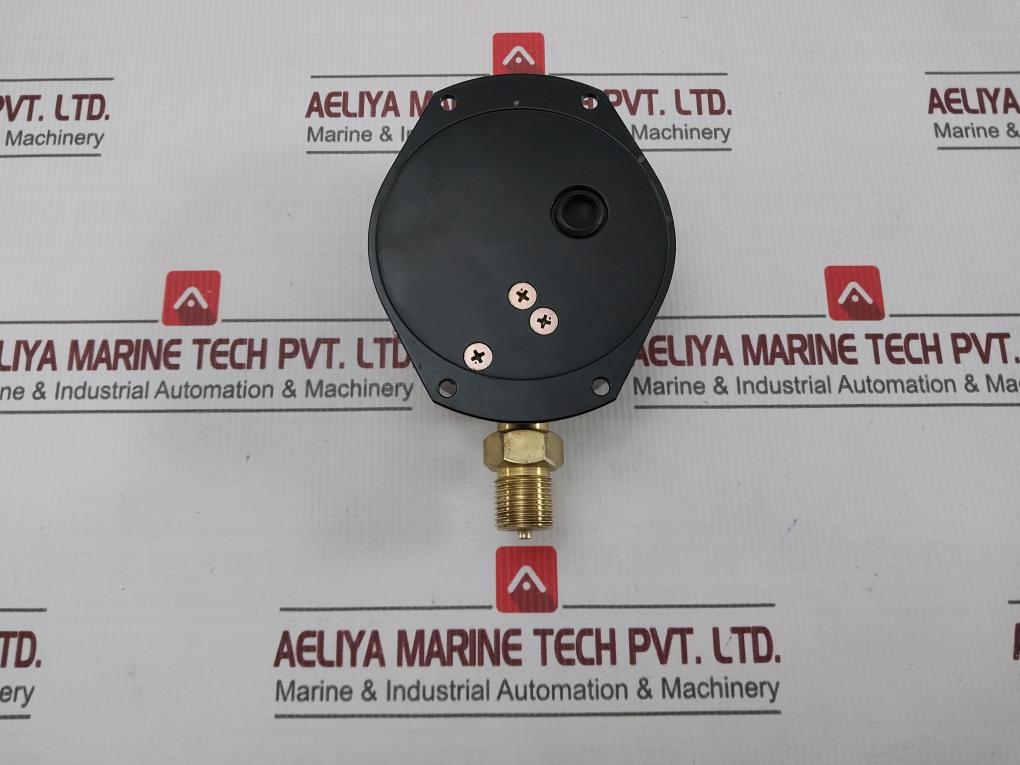 Nagano Keiki Seisakusho 4355552 Pressure Gauge - Image 4