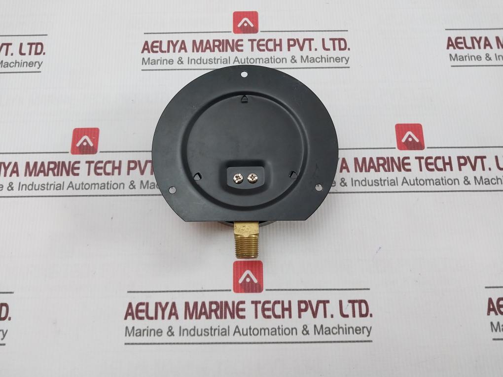 Pro-Instrument 0-15 Kg/Cm2 Pressure Gauge 200 Psi - Image 4